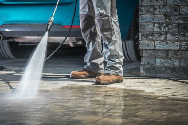 Best Dumpster Area Cleaning  in Pandora, OH