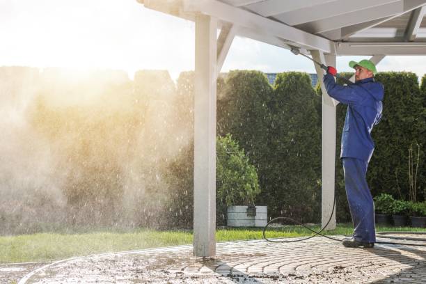 Best Driveway Pressure Washing  in Pandora, OH